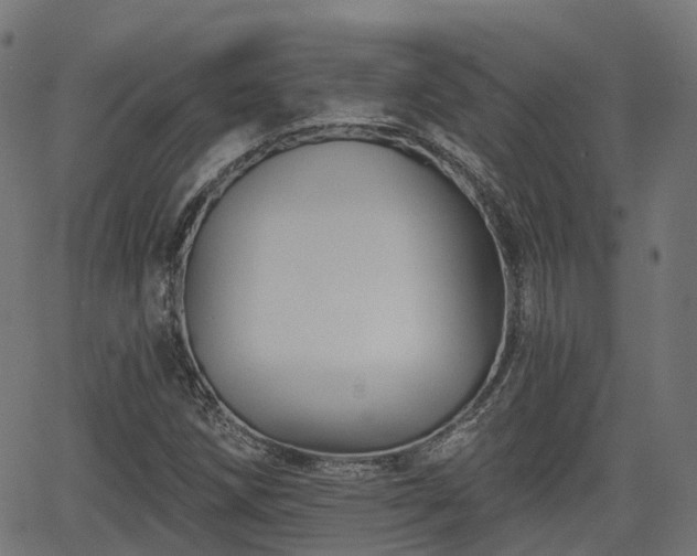 X0000066011258200603061248