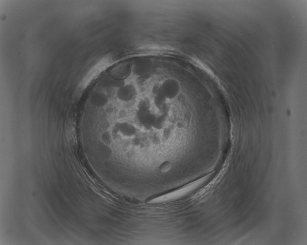 X0000066011259200603061248