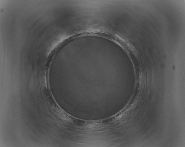 X0000066011262200603061248