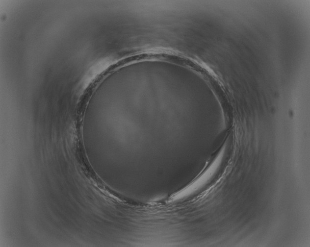 X0000066011263200603061248