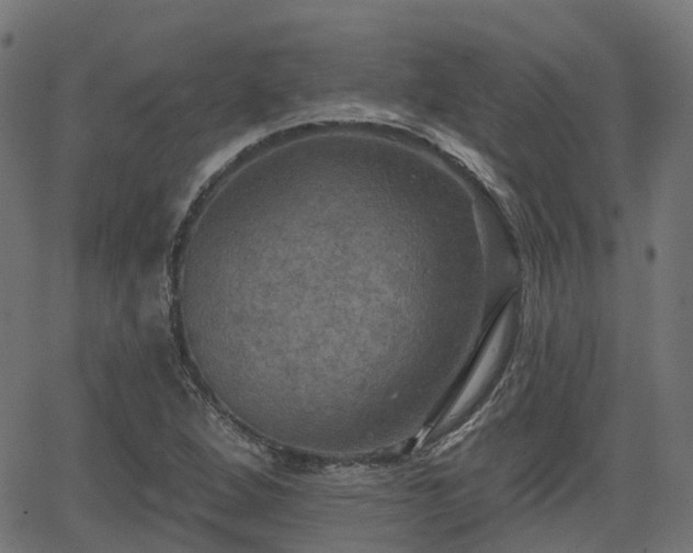 X0000066011264200603061248