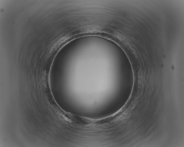 X0000066011265200603061248