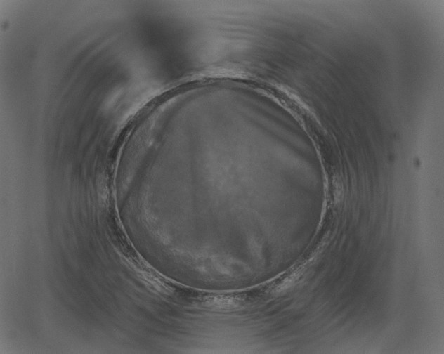 X0000066011266200603061248