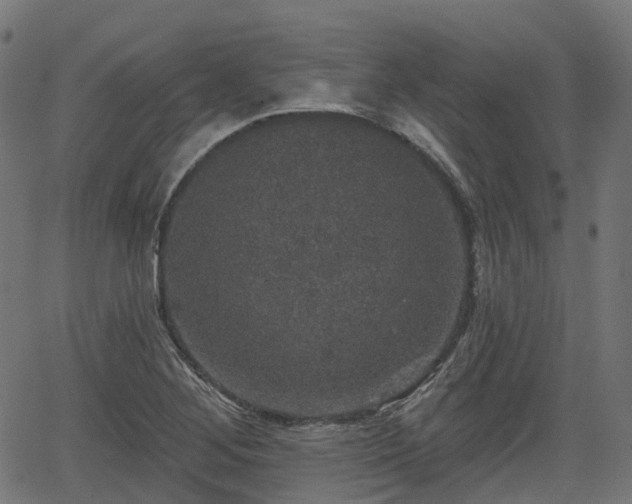 X0000066011268200603061248