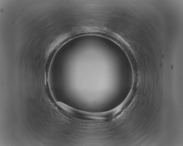 X0000066011269200603061248