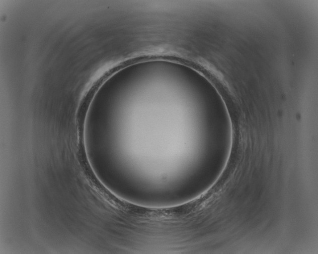 X0000066011270200603061248