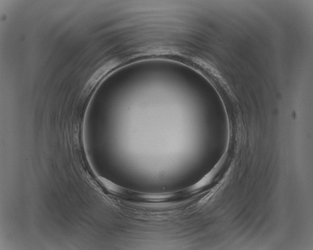 X0000066011273200603061248