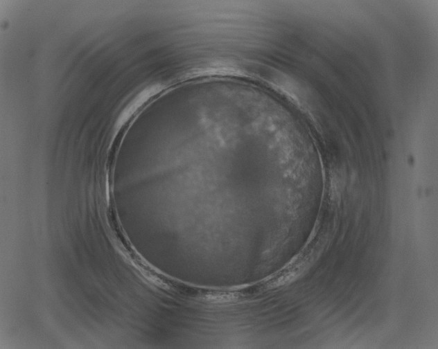 X0000066011274200603061248