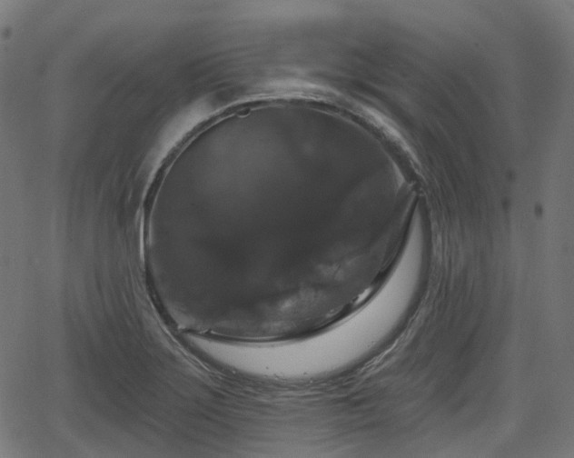 X0000066011275200603061248