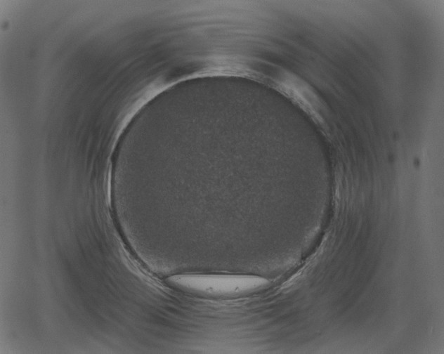 X0000066011276200603061248