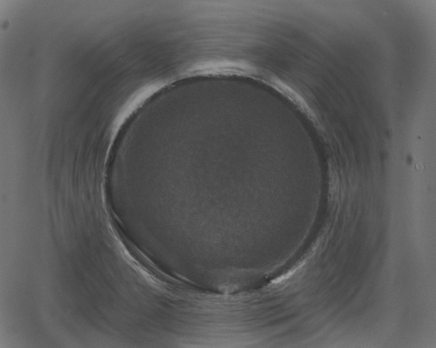 X0000066011277200603061248