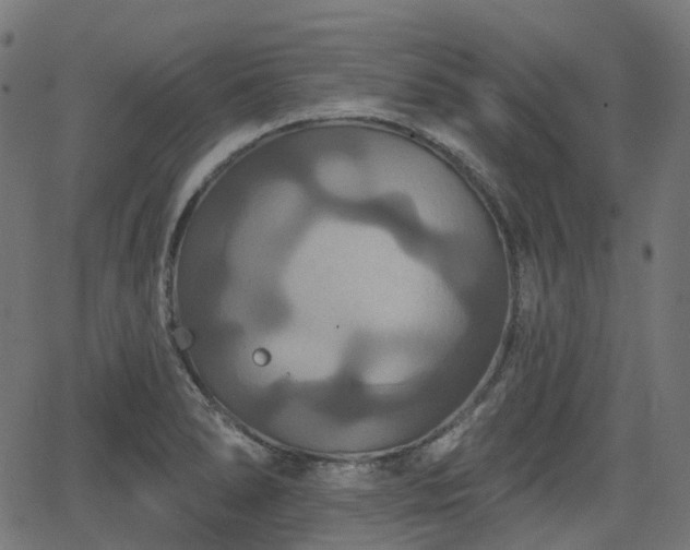 X0000066011278200603061248