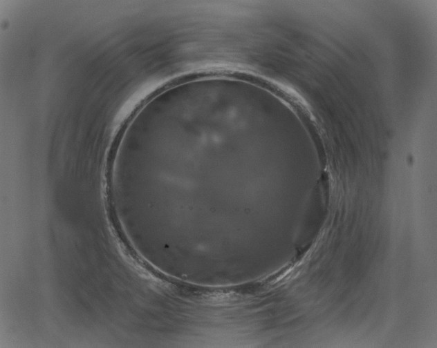 X0000066011279200603061248