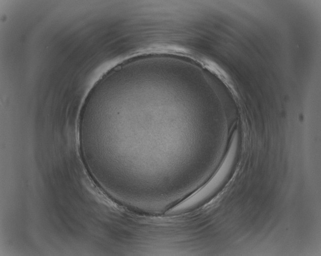 X0000066011280200603061248