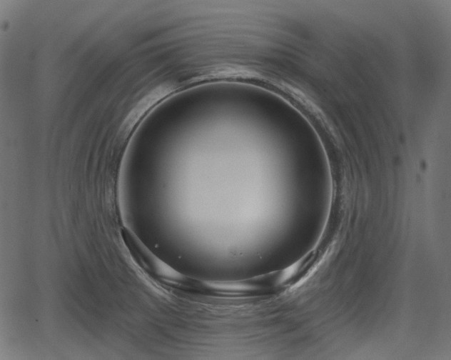 X0000066011281200603061248