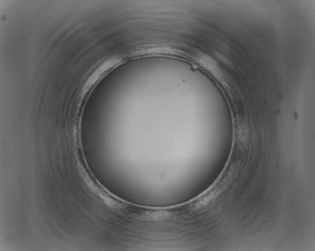 X0000066011282200603061248