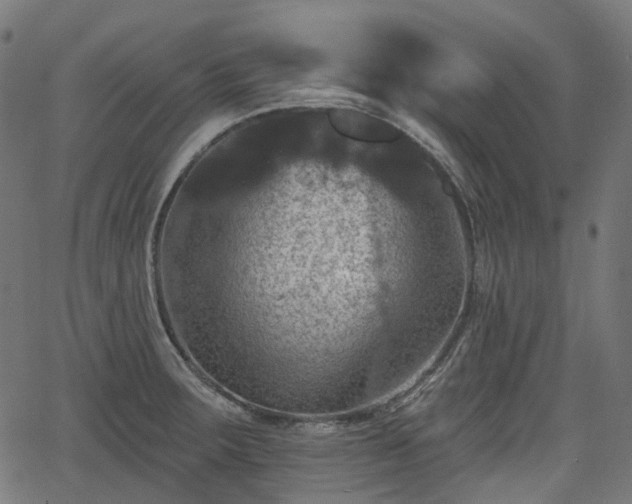 X0000066011283200603061248