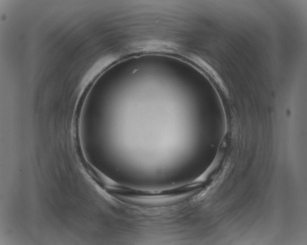 X0000066011285200603061248