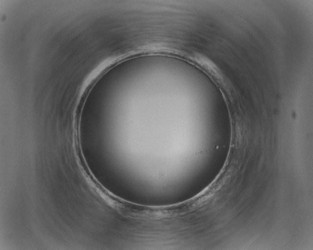 X0000066011286200603061248