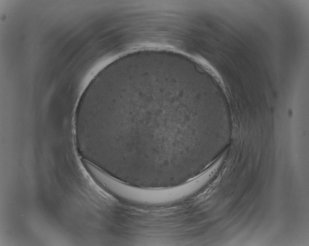 X0000066011287200603061248