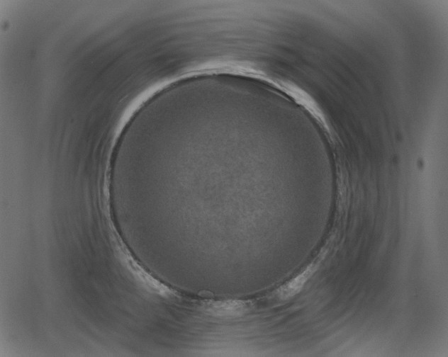 X0000066011288200603061248