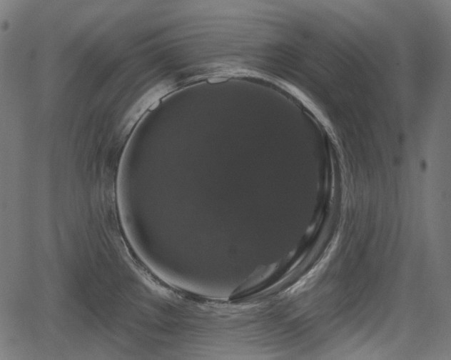 X0000066011289200603061248