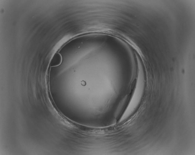 X0000066011291200603061248