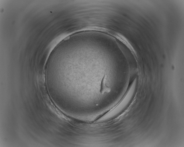 X0000066011292200603061248