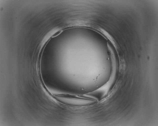 X0000066011293200603061248