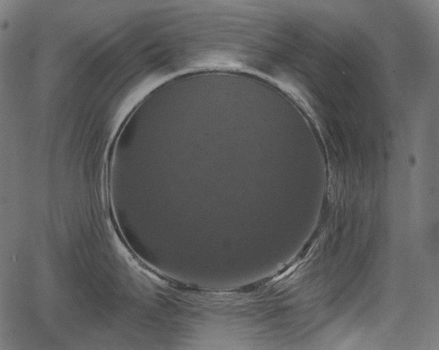 X0000066011295200603061248