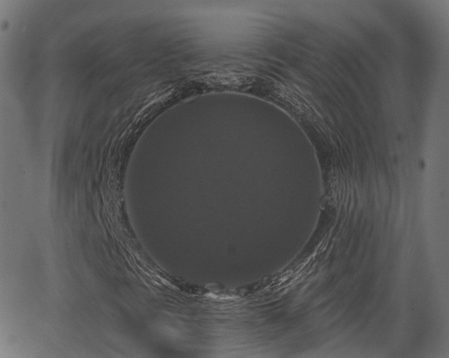 X0000066011297200603061247