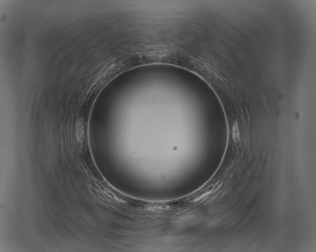 X0000066011299200603061247