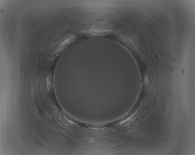 X0000066011300200603061247