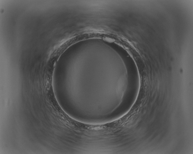 X0000066011303200603061247