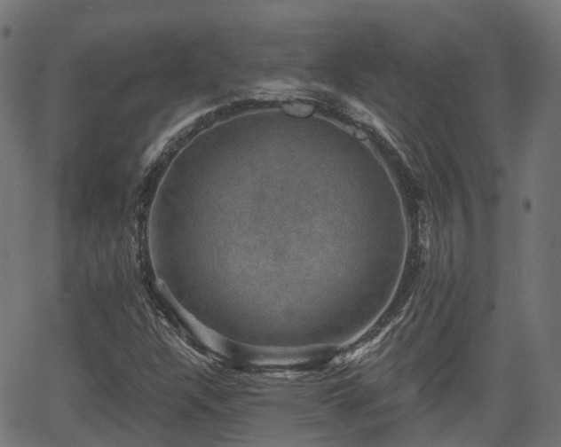 X0000066011304200603061247