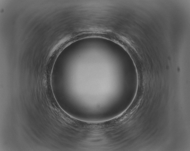 X0000066011307200603061247