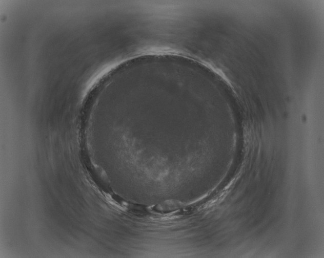 X0000066011311200603061247