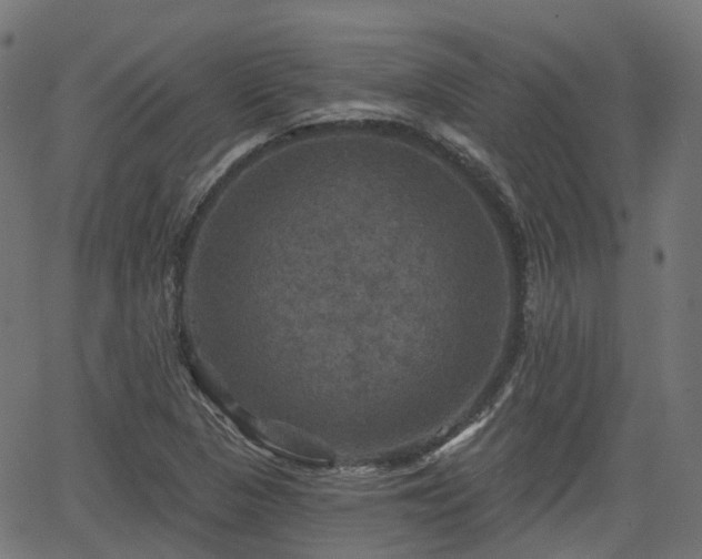 X0000066011313200603061247