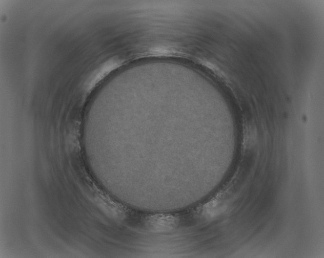 X0000066011314200603061247