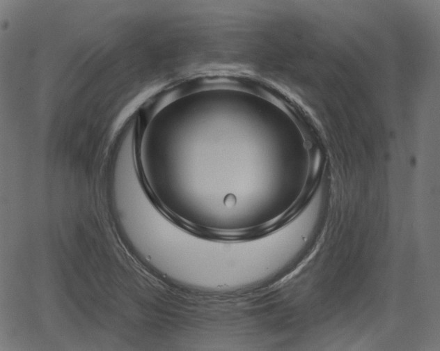 X0000066011317200603061247