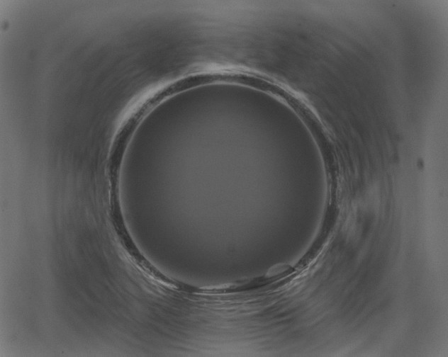 X0000066011319200603061247