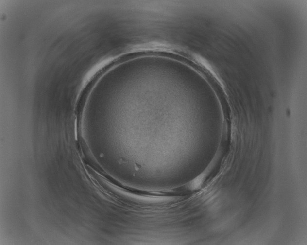 X0000066011320200603061247