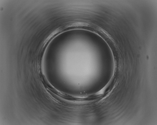 X0000066011321200603061247