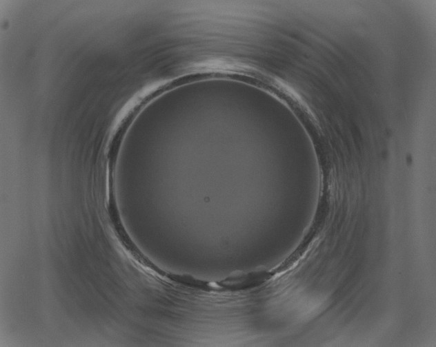 X0000066011323200603061247