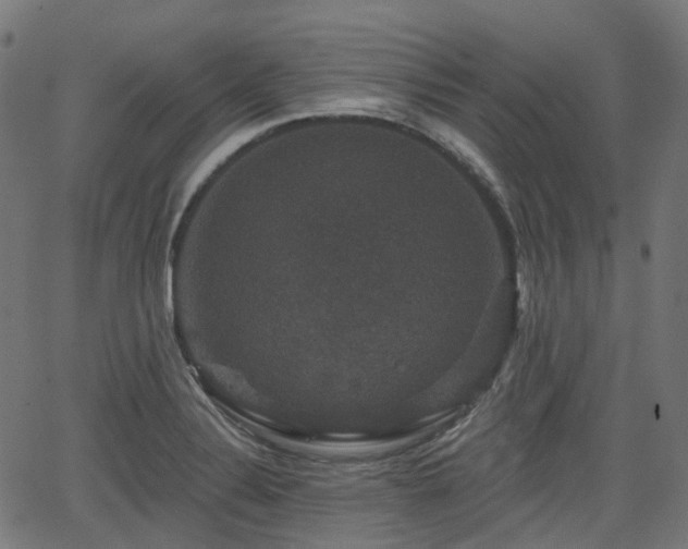 X0000066011324200603061247