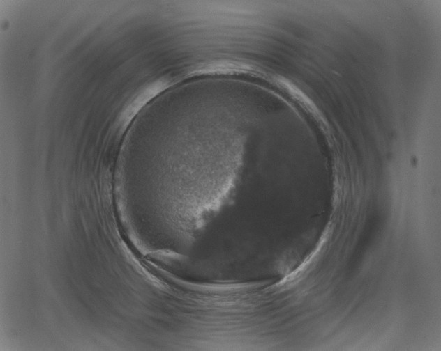 X0000066011329200603061248