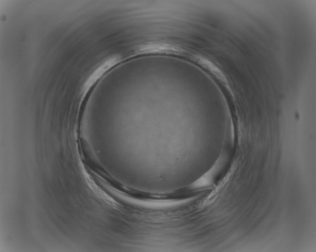 X0000066011330200603061248