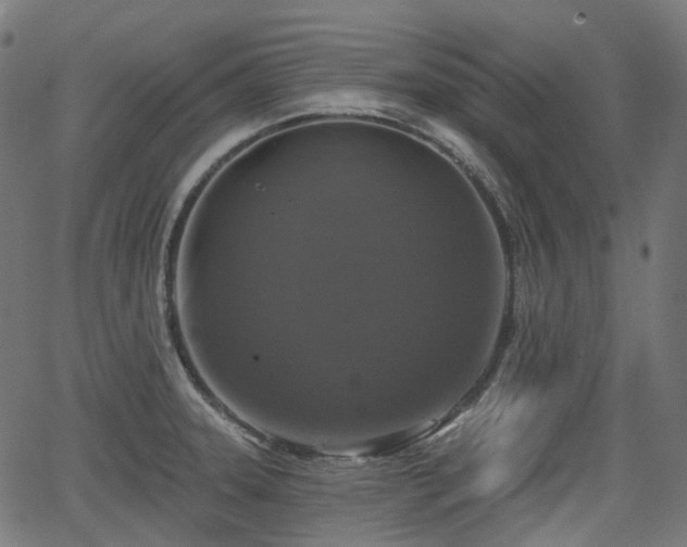 X0000066011331200603061248