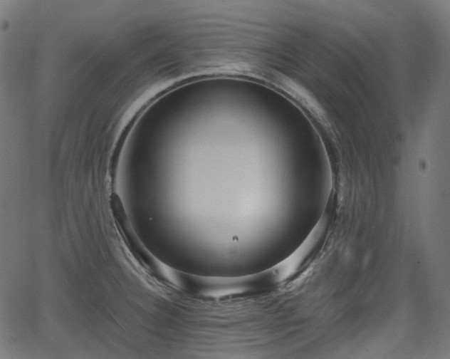 X0000066011332200603061248