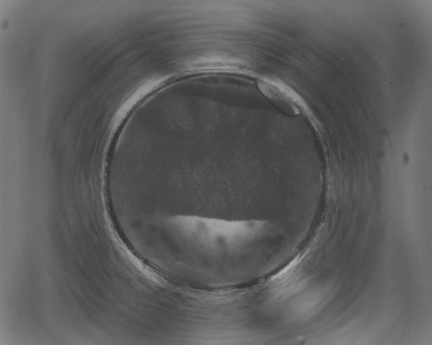 X0000066011333200603061248